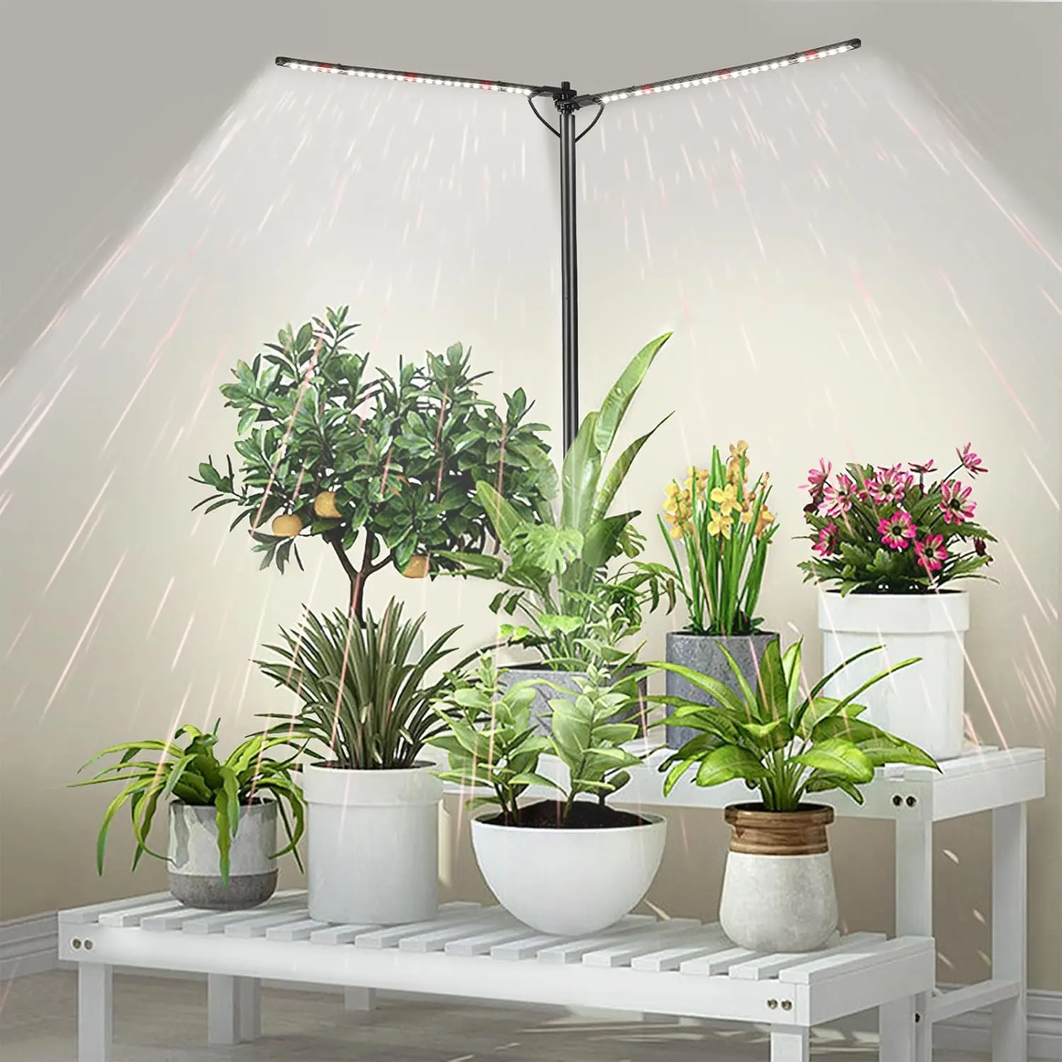 Grow Lights for Indoor  Full Spectrum with 3/6/9H Timer & Dimming, Slim  Lights for Indoor Growing with 6000K White Red LEDs for Various