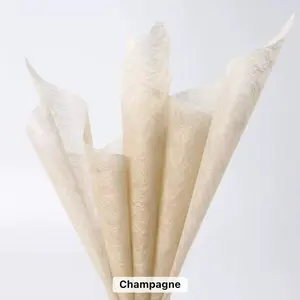 Champagne Tissue - Elegant Cream-Colored Tissue Paper for Special Occasions and Gift Wrapping