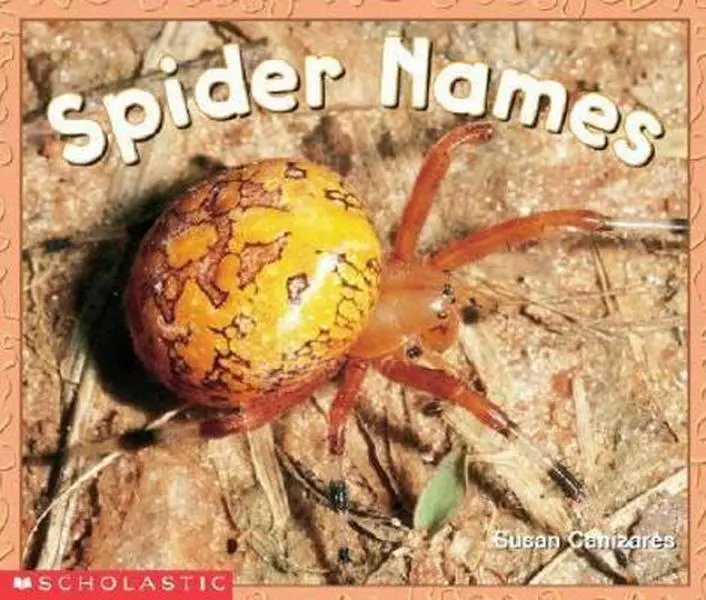 USED-Spider Names (Emergent Readers) by Susan Canizares (Paperback)
