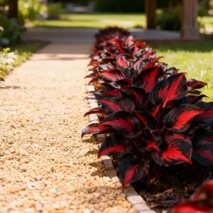 Hosta Seeds Perennial Shade Plant for Garden and Non-GMO 800 Seeds Pack for Borders & Woodland Paths Easy to Grow for Landscaping with Strong Structure and Texture