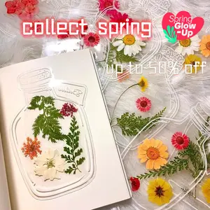 Spring 40Pcs DlY Bookmarks, Transparent Dried FlowerSpring Bookmarks, Handmade Dried FlowerBookmarks,Flower Bookmarks Maker, HandmadeDlY Transparent Beautiful Flower Page mothersdaygiftideas