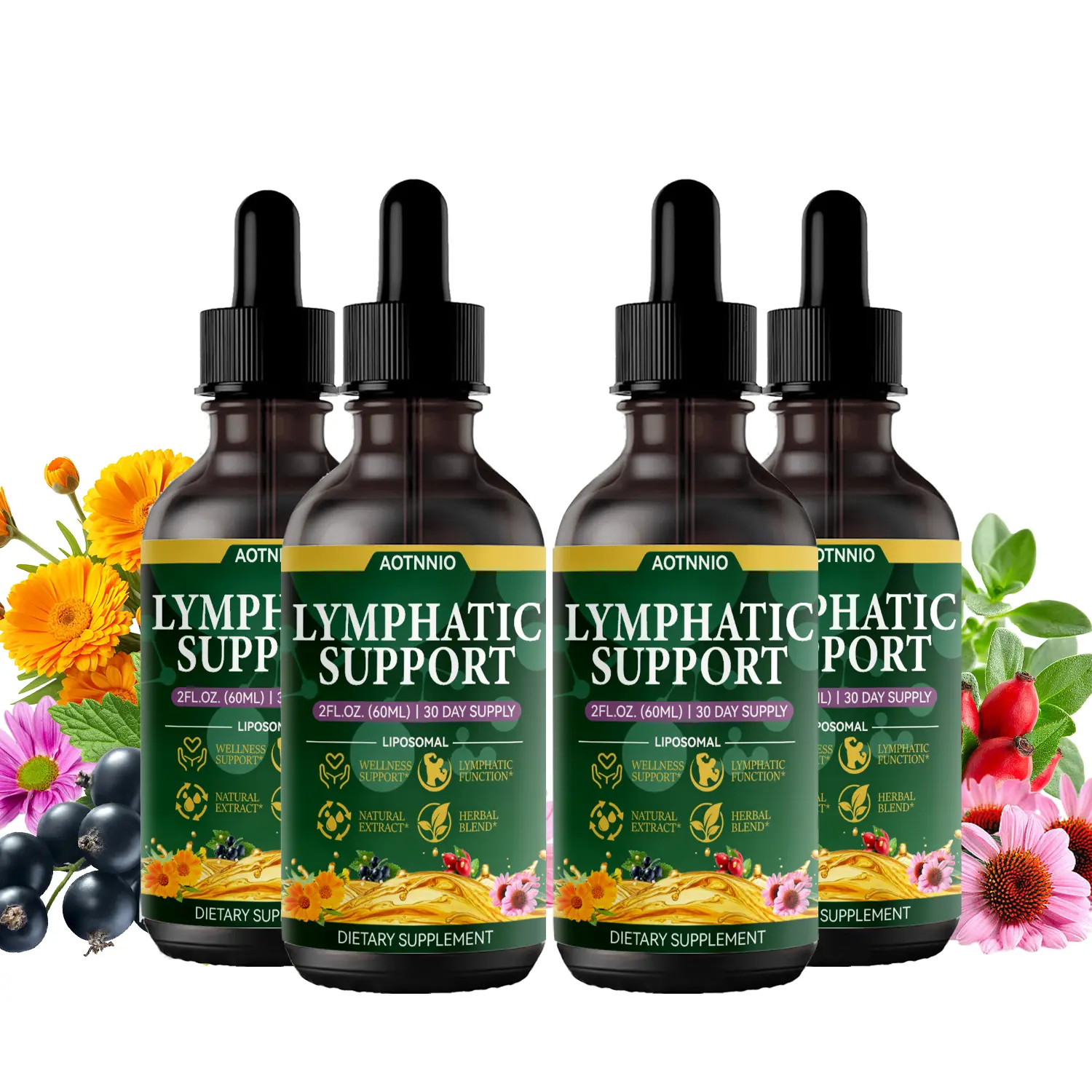 Lymphatic Support Drops for Liposomal, Immune & Lymph System Support Supplement for Women & Men with Echinacea, Dandelion, Burdock, Bromelain, Calendula, Turmeric & More, 2 FL OZ