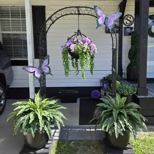 review image 8
