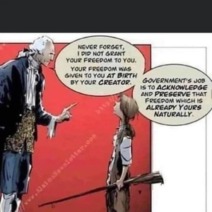 The Curious Eklectic Mouse Co.