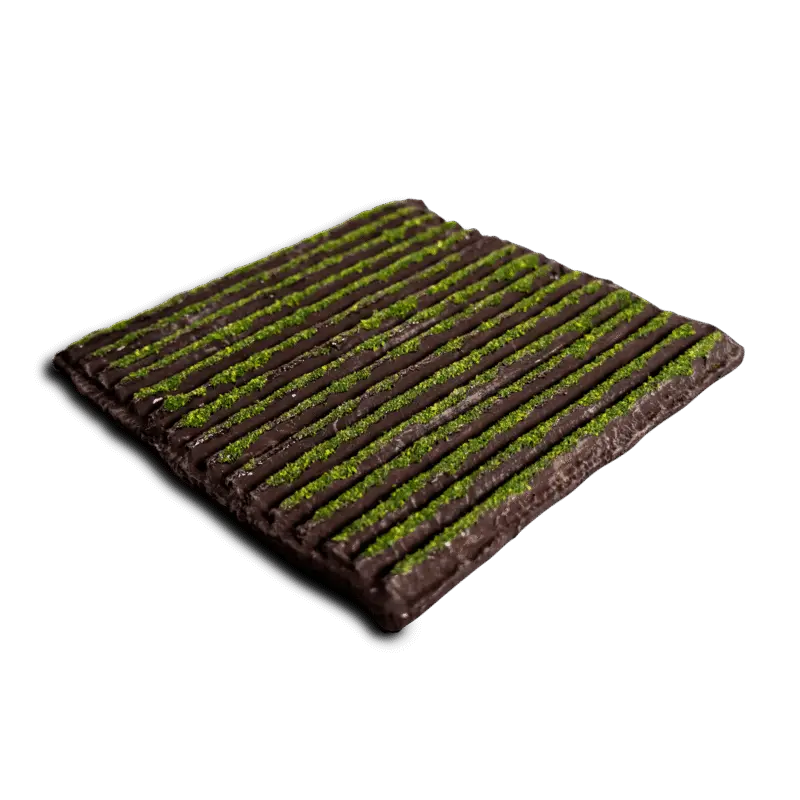 Farmed Field