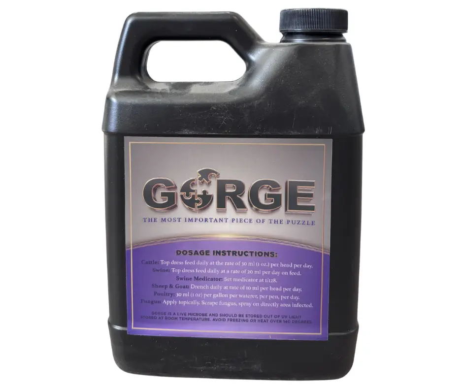 Gorge