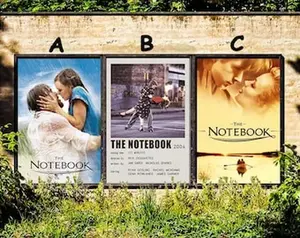 THE NOTEBOOK - 2004 Movie Poster| Canvas Poster| Unframed Movie Poster| Art Poster Gifts for her/his| Artistic Gifts|  Set of 3 Posters