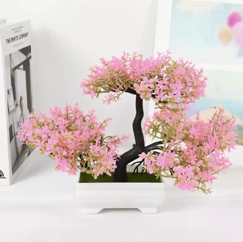 Elegant Miniature Bonsai Tree