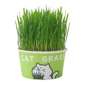 Organic Cat Grass Seeds Pack Non-GMOHeirloom Cat Grass Seeds for Indoor &Outdoor Cats 100% Organic Cat GrassSeeds- Cat Grass for Indoor Cats- (NonGMO) cat grass seeds Suitable for IndoorCats -Purely natural, healthy, and harmless