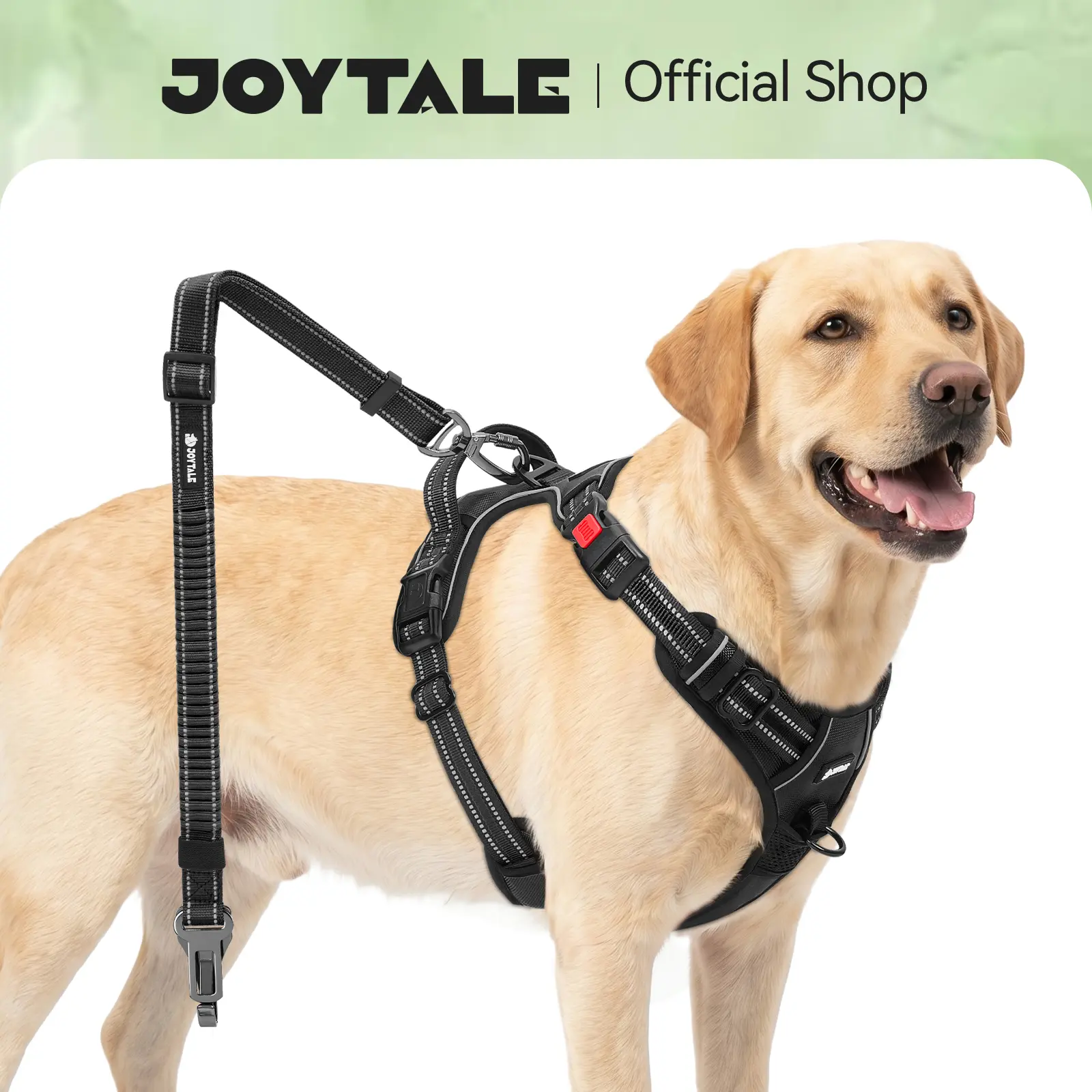 Joytale Anti-Pull, Escape-Proof Dog Harness Set with Side Snap & Car Seat Belt, Multi-Size