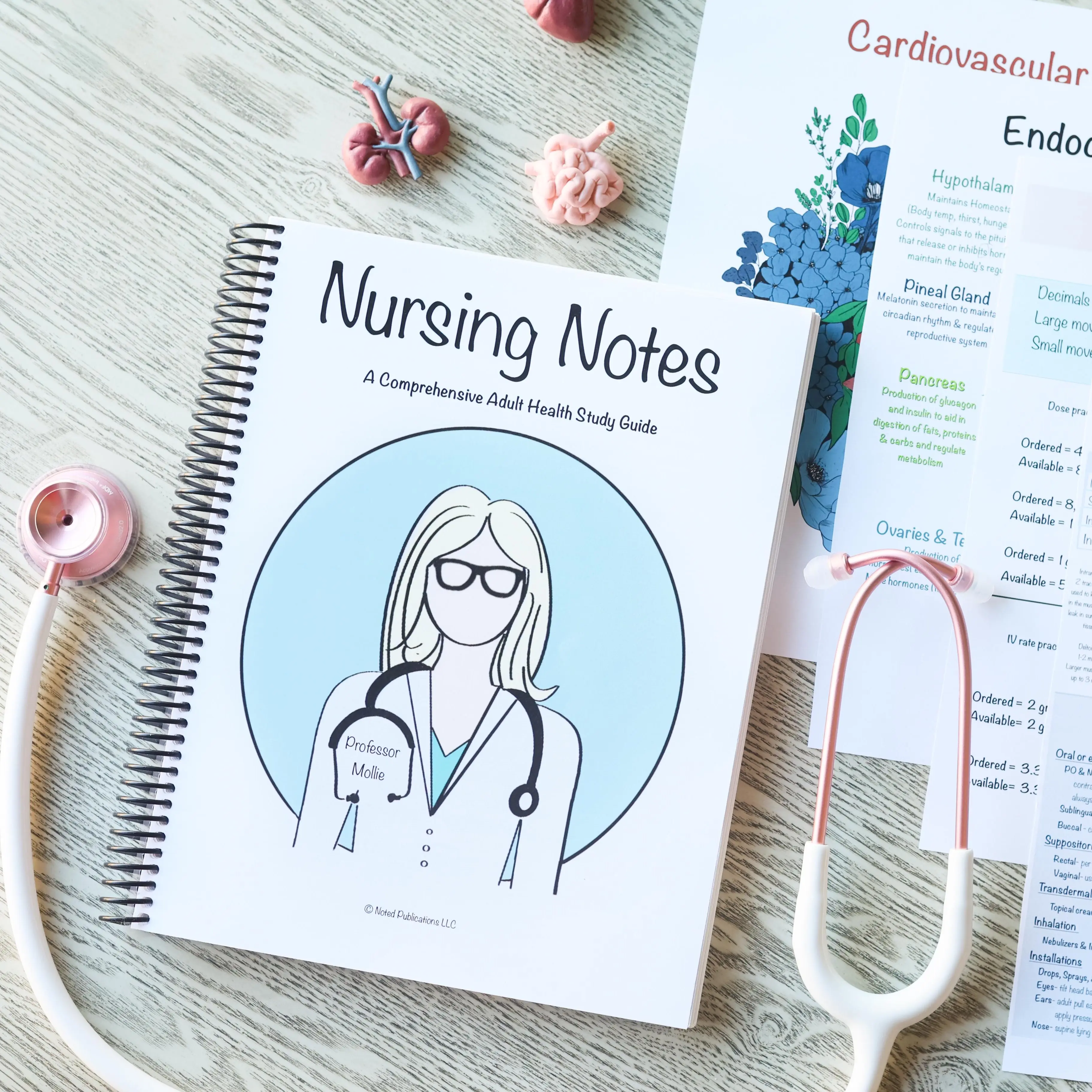 Nursing School Notebook (Spiral) Nursing School Notebook (Spiral)