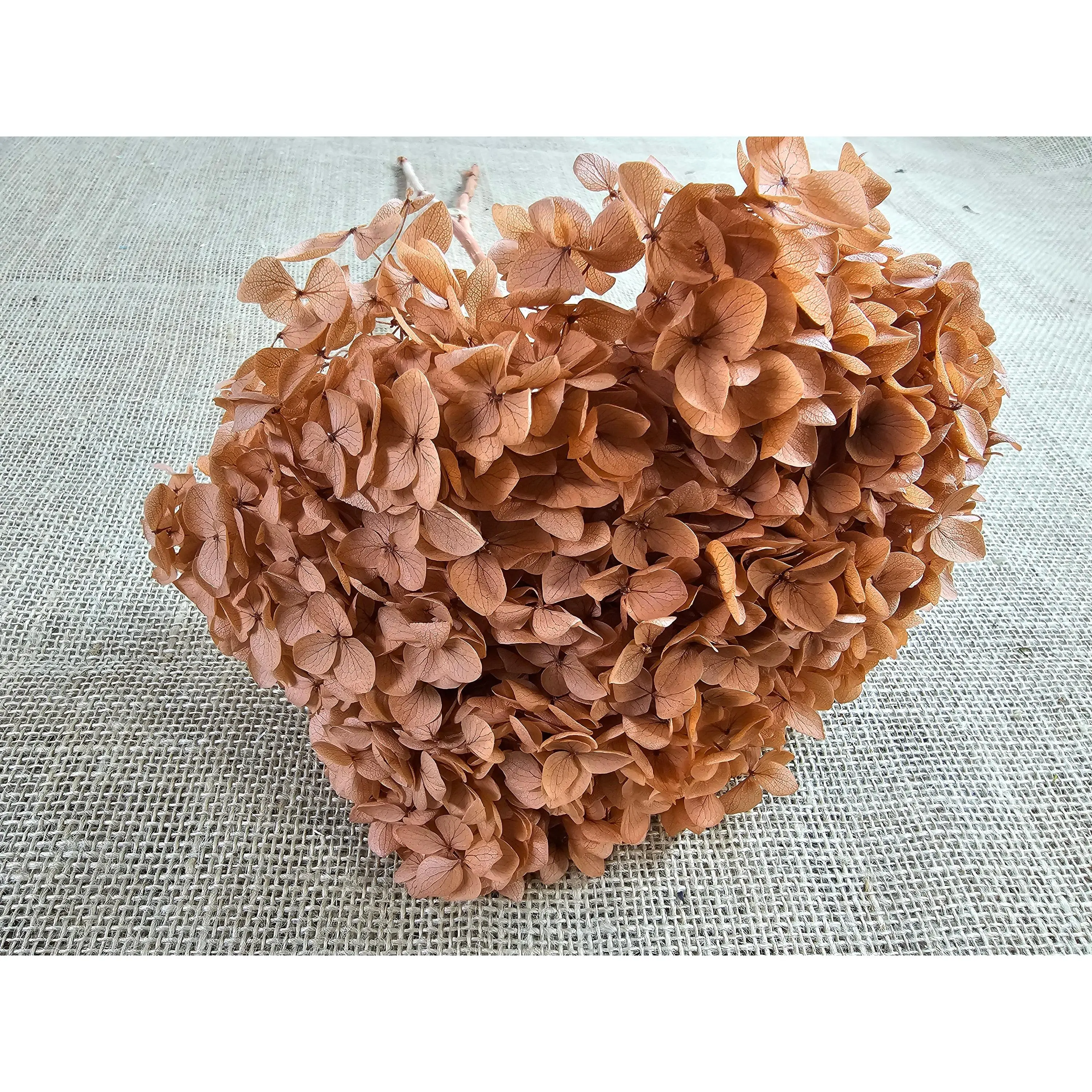 Preserved Hydrangea In Yellow Coffee, Preserved Hydrangea, Dried Hydrangea, Preserved Flowers, Dried Flowers, Real Flowers, Wedding Flowers