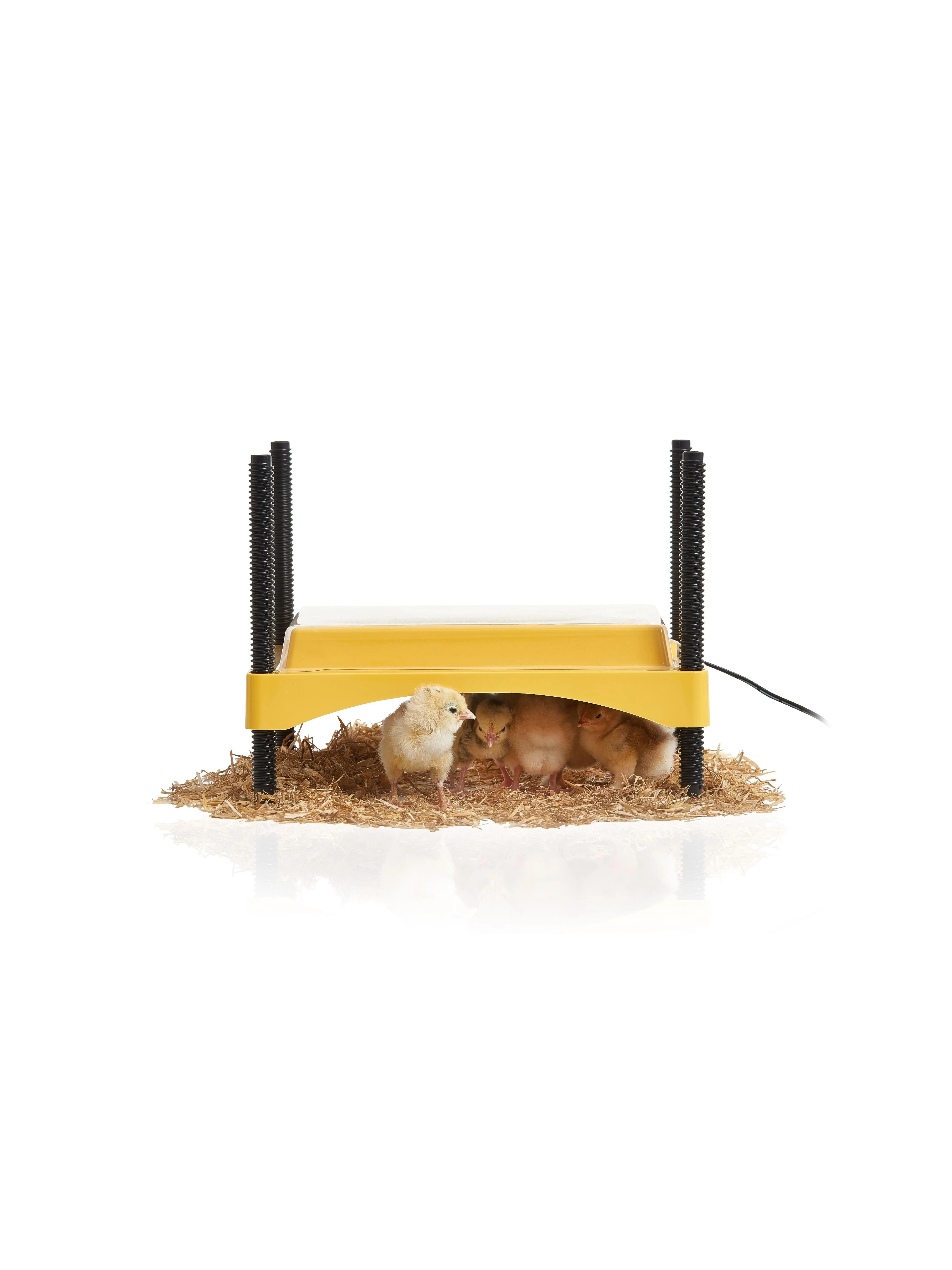 Eco Glow Safety 600 Chick Brooder