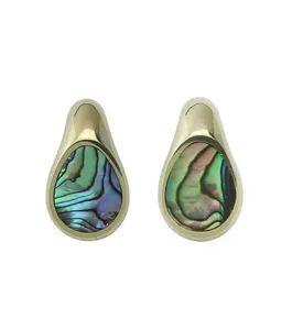 Abalone Keyhole Brass Ear Weights
