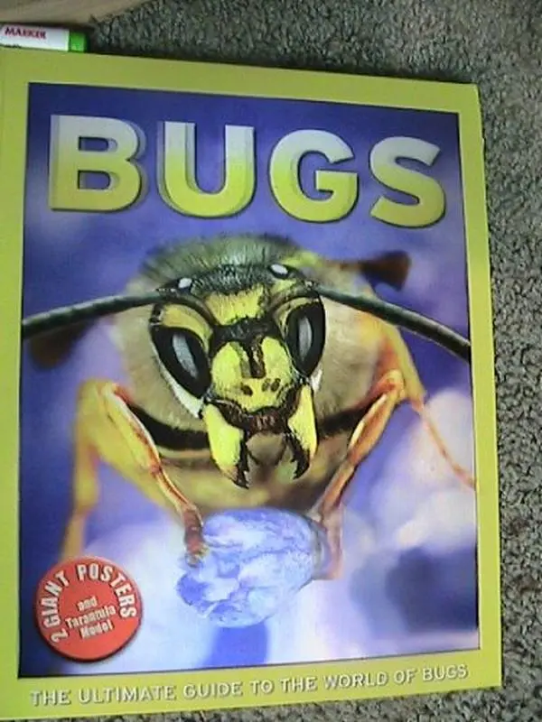 USED-Bugs (The Ultimate Guide to the World of Bugs) by Kelly, Miles (Unknown)