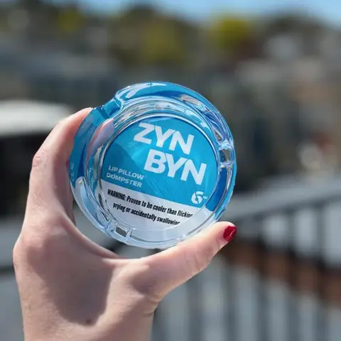 ZynByn Lip Pillow Dumpster - Unique Home Waste Disposal Bin For Office Or Home - Quirky Gift For Any Occasion