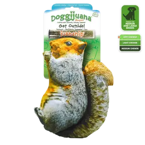 Get Outside Squirrel Refillable Dog Toy