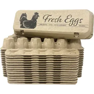 Printed Paper Pulp Egg Cartons -  Eggs (15)