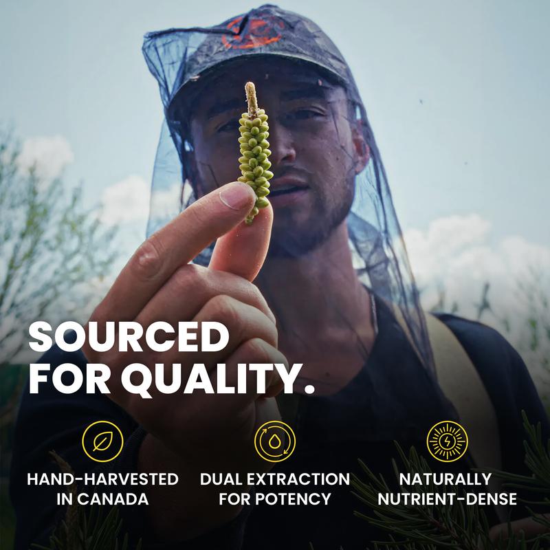 Based Pine Pollen - 4 OZ (120 mL) - Healthcare Supplement for Dietary Use, Optimum Wellness