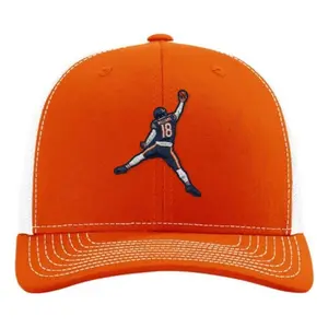 Iceman Hat Full Color Flexfit