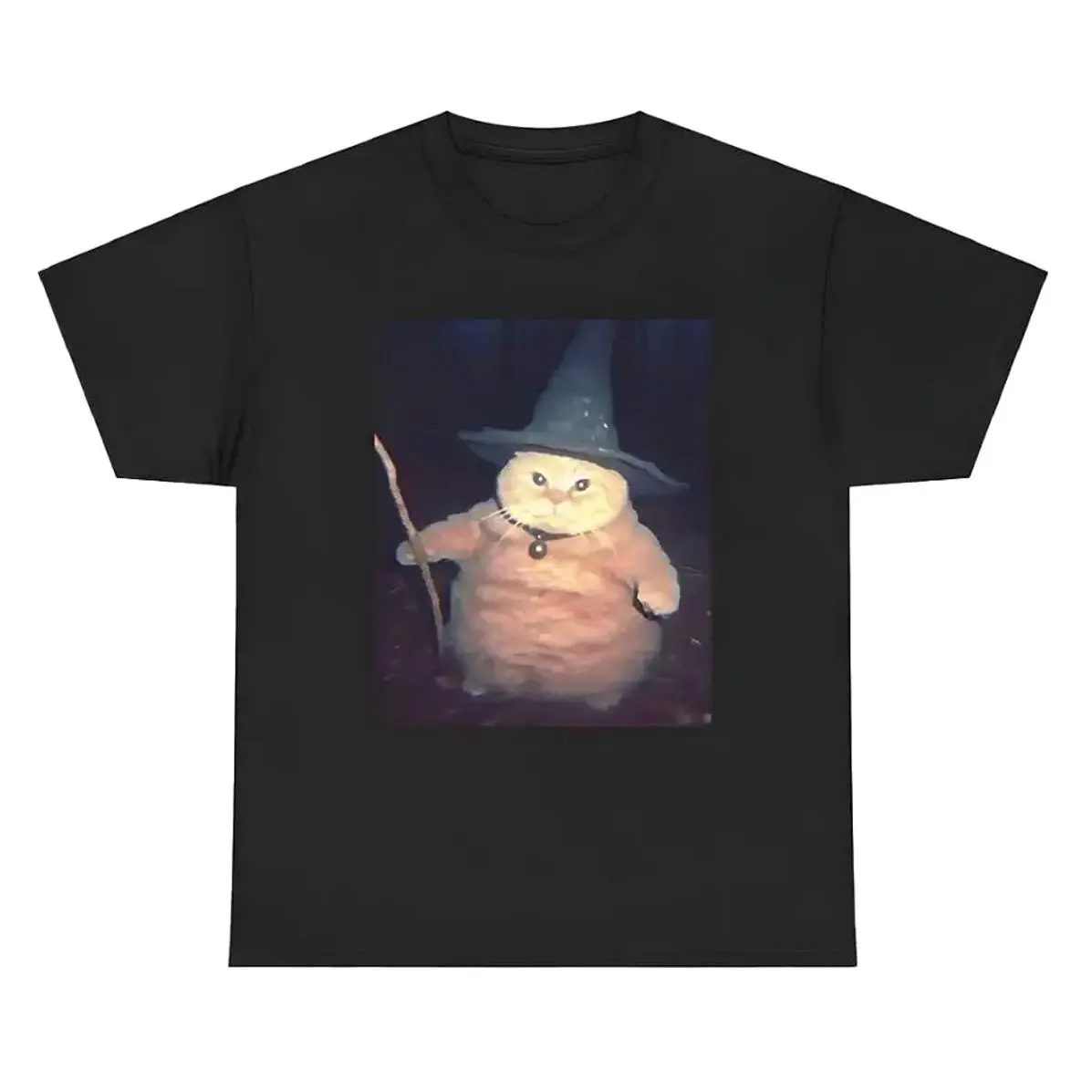 Chubby Cat Wizard Meme T-Shirt Meme Graphic Tee Humor Everyday Tee for Men & Women