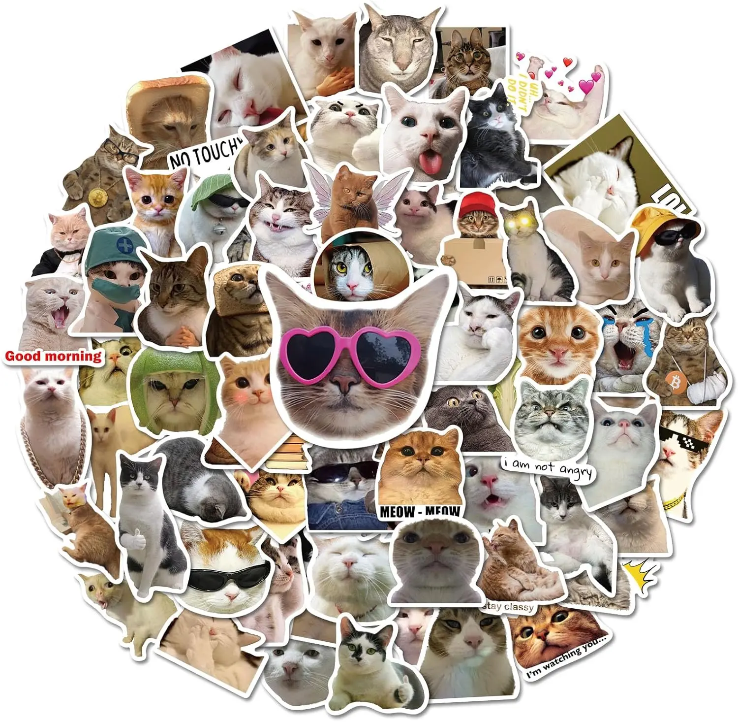 100 PCS Cute Meme Cat Stickers for Water Bottle Journaling Scrapbook Guitar Phone Suitcase Skateboard Waterproof Vinyl Decal Gift for Kids Teens Girls