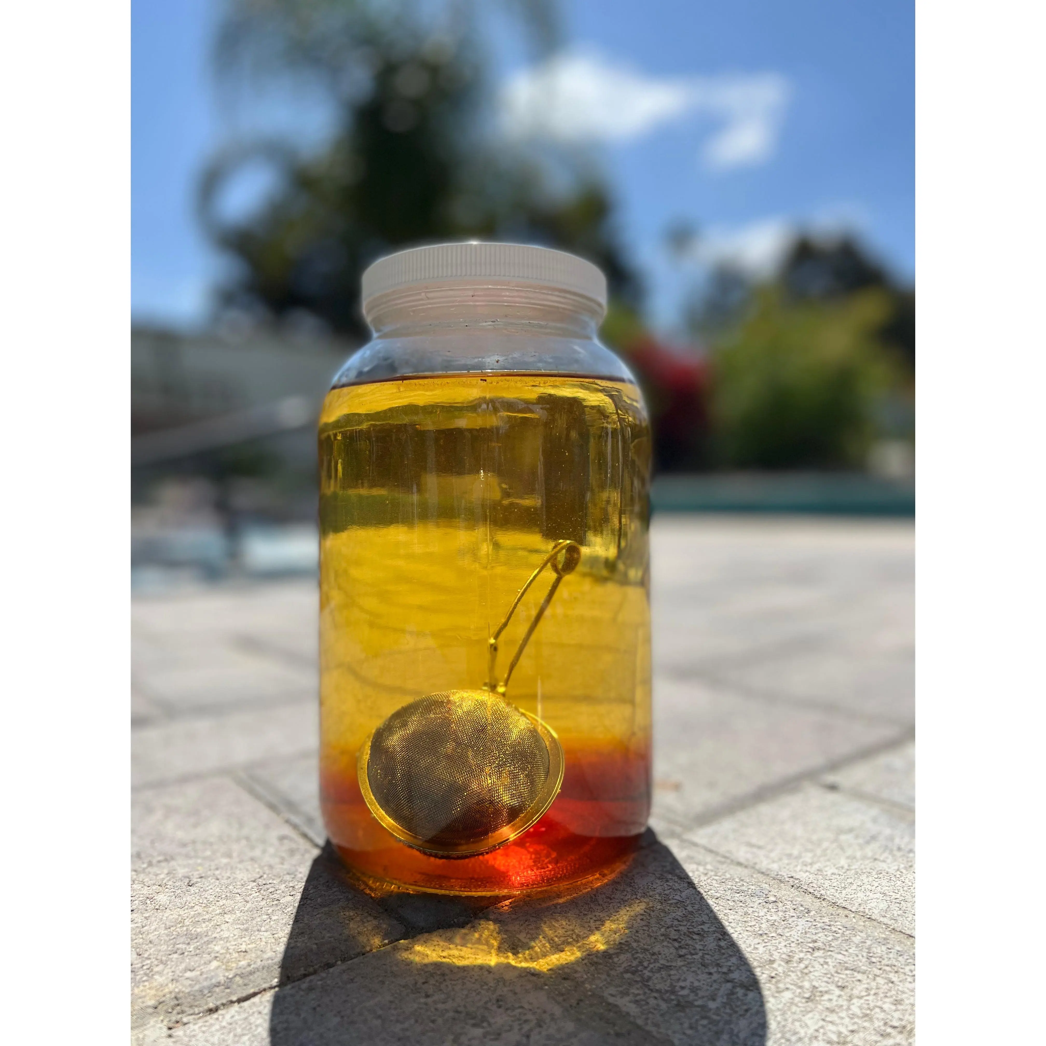 Sun Tea Steeper