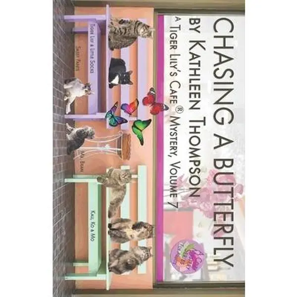 USED-Chasing A Butterfly by Thompson, Kathleen (Paperback)