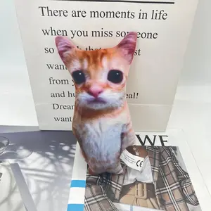Cute El Gato Cat Plush | Soft Kawaii Cat Stuffed Toy