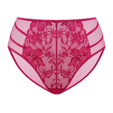 Live Only HSIA Pretty In Petals Floral Lace Sheer Mesh Back Underwear High-Rise Brief Matching Panty