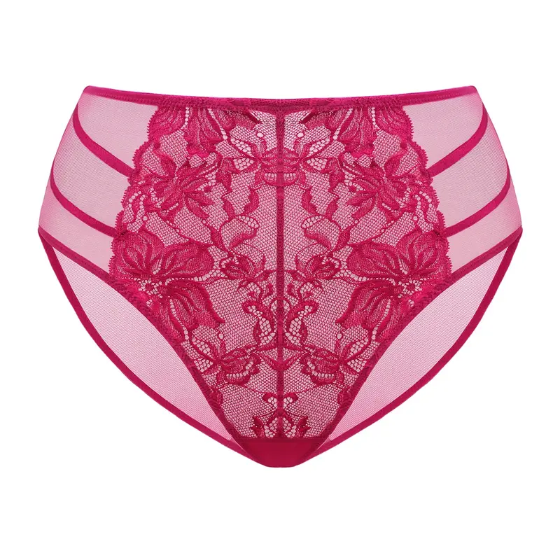 Live Only HSIA Pretty In Petals Floral Lace Sheer Mesh Back Underwear High-Rise Brief Matching Panty