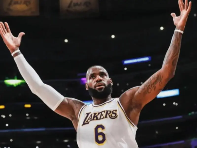 Lebron James Flag Decoration
