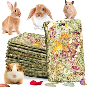 [WAIT GREMBEB]Rabbit Toys 12pcs Bunny Toy Guinea Pig Treats Timothy Hay Chew Toys Chips with Herbal Flowers Hamster Snacks Chinchillas Gerbils for Teeth Apple Sticks Sweet Bamboo