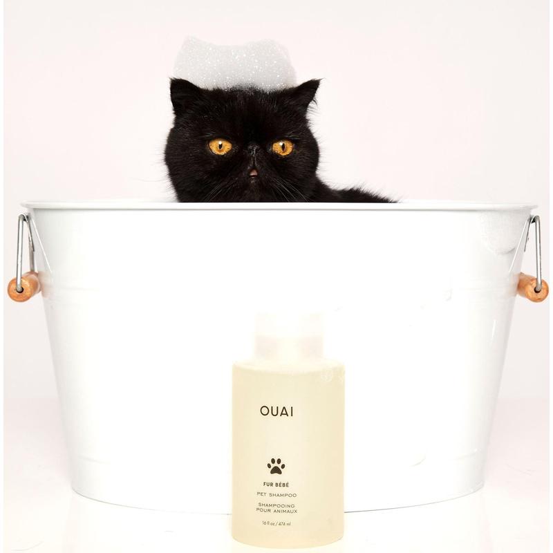 OUAI Fur Bébé – Gentle Pet Shampoo for Clean, Soft & Fresh-Smelling Fur - 16 fl oz / 474 ml