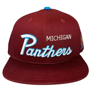 Michigan Panthers Script Snapback Hat