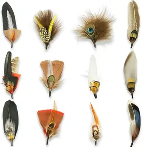 12Pcs Hat Feathers for Cowboy Hats, Small Feathers for Hats, Natural Assorted Feathers Cowboy Hat Feather, Colorful Craft Feathers Hat Feathers for DIY Craft Accessories Decorations (12 Style)