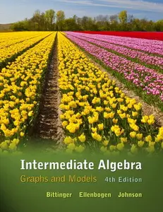 USED-Intermediate Algebra: Graphs and Models by Bittinger, Marvin (Hardcover)