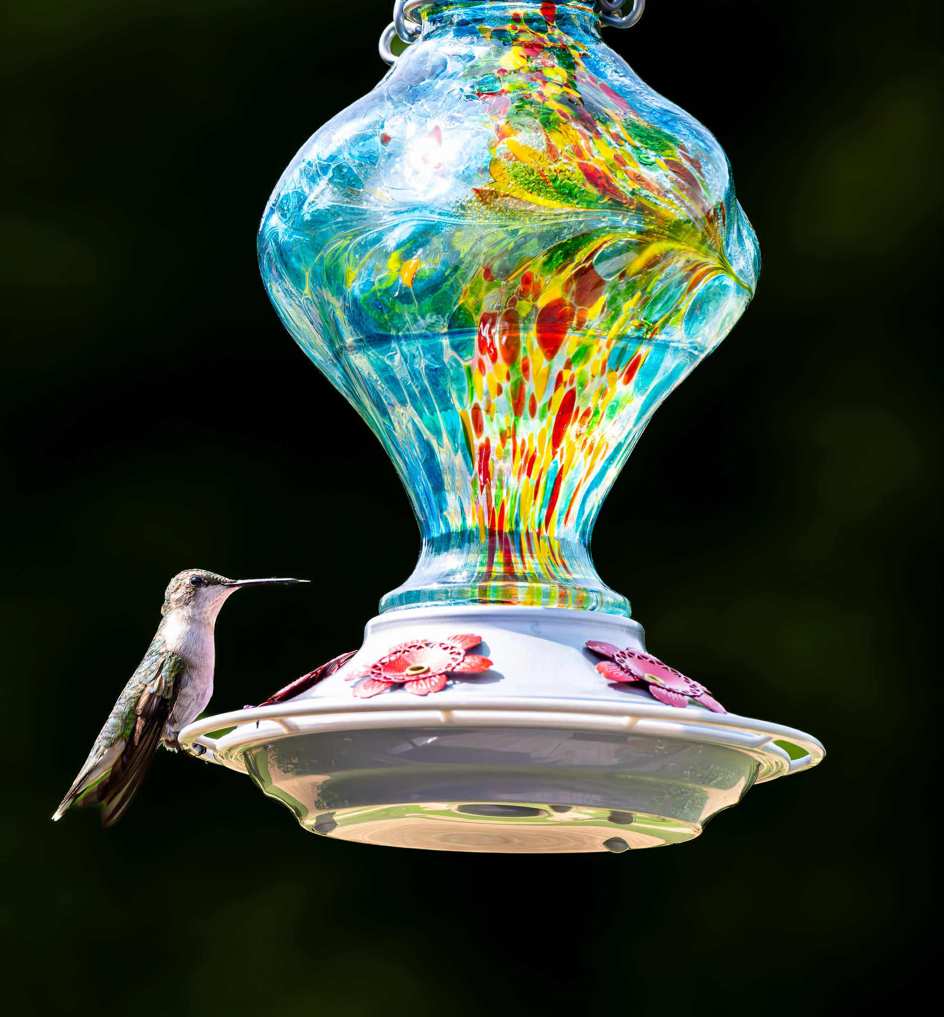 Hummingbird Feeder for Outdoors Leak-Proof | Easy Clean Wide Mouth | Attract More Hummingbirds to Your Garden