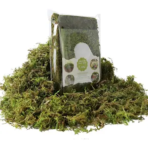 Green Moss for Potted , 4OZ Artificial Moss for DIY Crafts, Faux Moss for Table Centerpieces Fairy Garden Decor (Fresh Green 140gr)