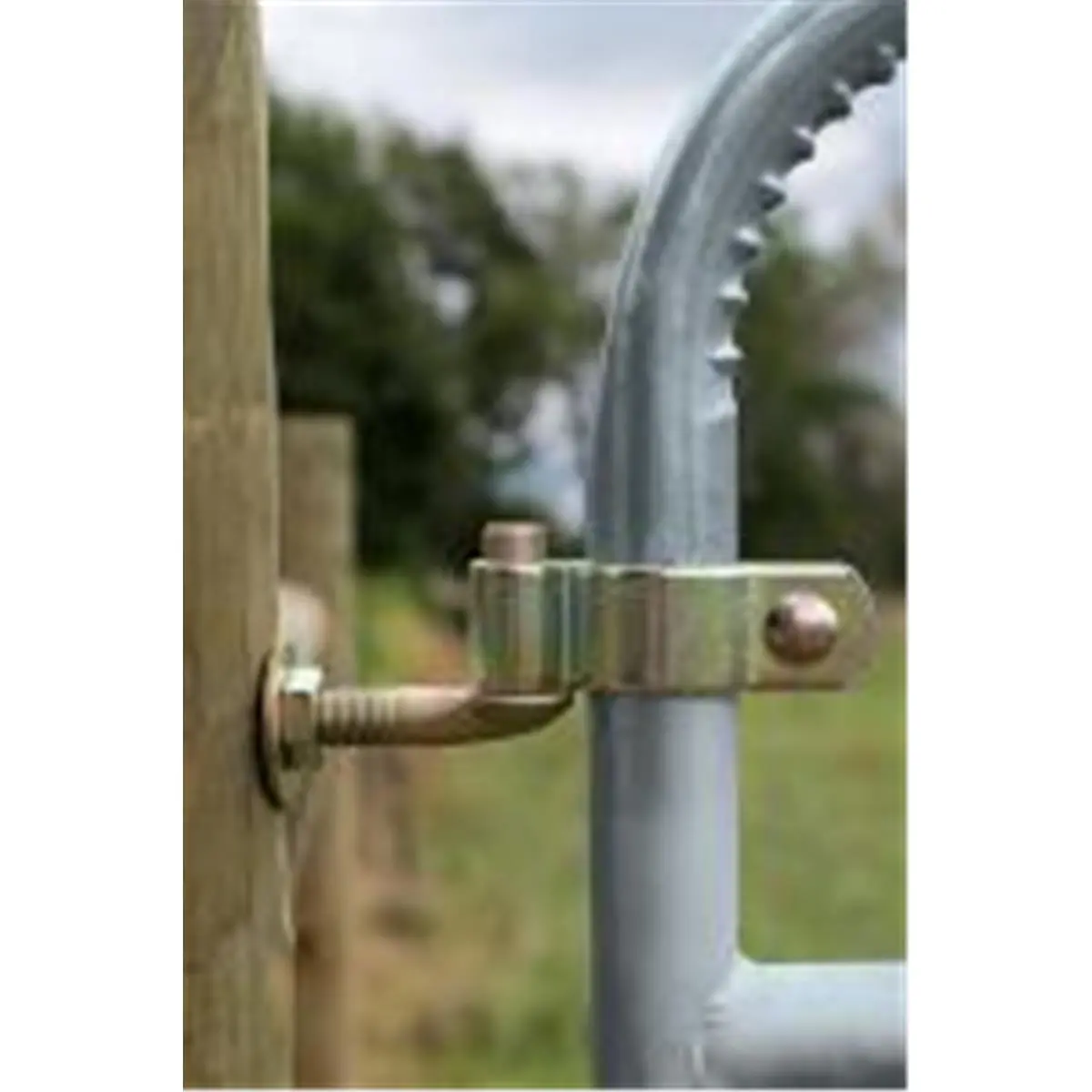 212 MAIN Locking Gate Hinge, 2 in. Size with 0.75 x 12 in. Bolt, Compatible with Sailing & Outdoor Sports Gates, Locking Hinges