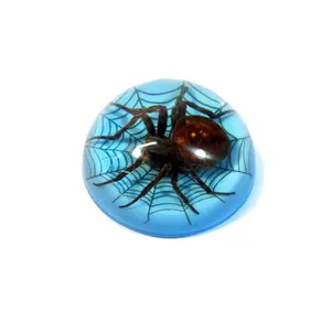 ED Speldy East  Spider On Web Terrain, Blue, Decor, Dome
