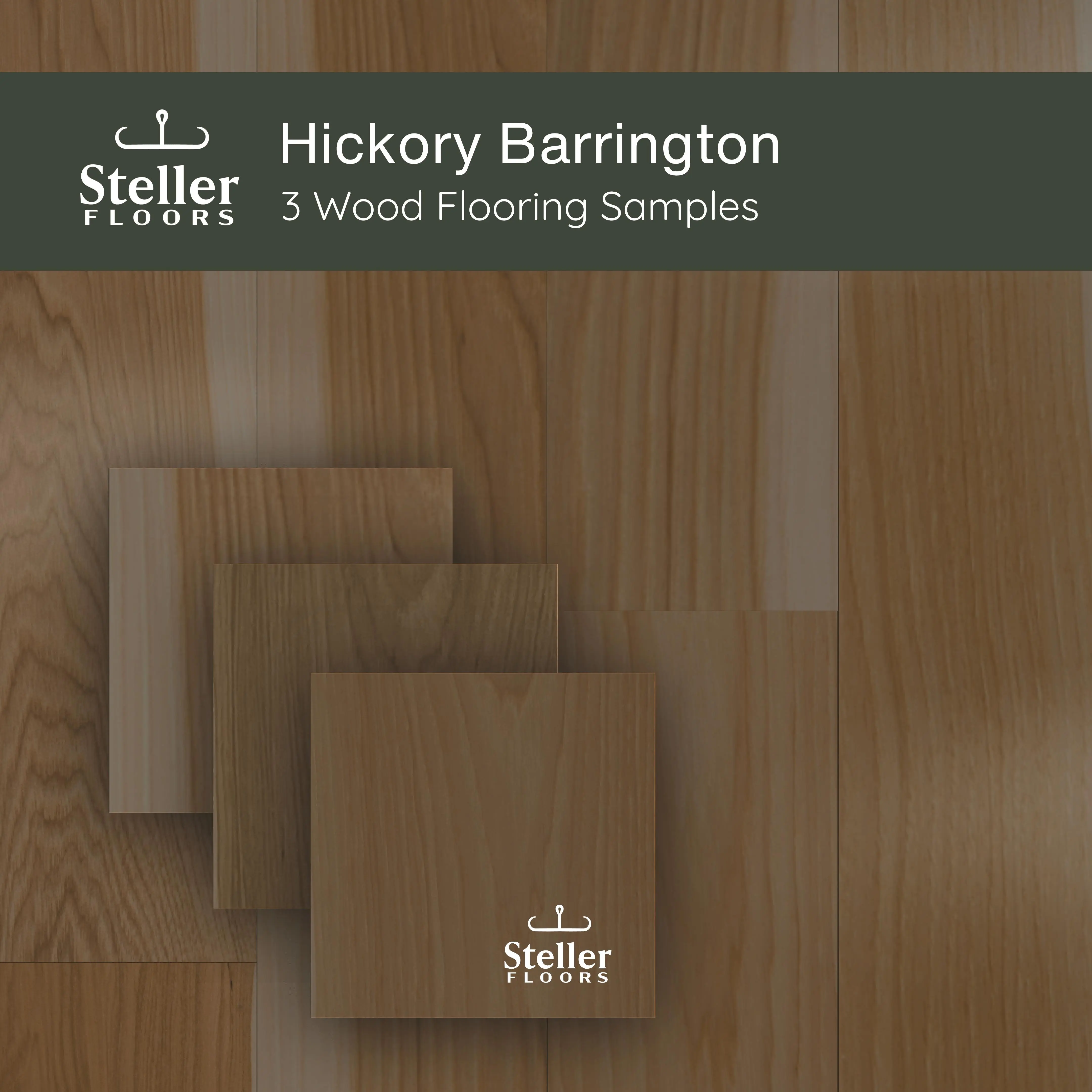 Hickory Barrington by Steller Floors - Sample 3-Pack - Includes Clip System