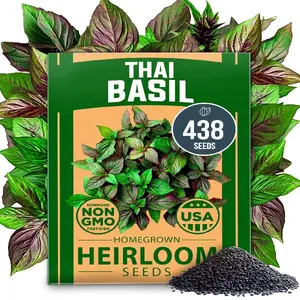 Thai Basil Seeds Pack – High Germination Heirloom Herb Seeds for Planting, Ideal for Growing Fresh Basil Indoors or Outdoors (Ocimum basilicum var. thyrsiflora)