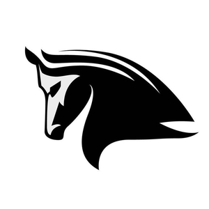 The Stampede Network