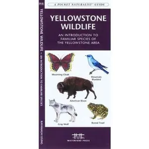 USED-Outwitting Mice: 101 Truly Ingenious Methods and Proven Techniques to Prevent Mice and Other Rodents from Invading Your Home by Bill Adler (Paperback)