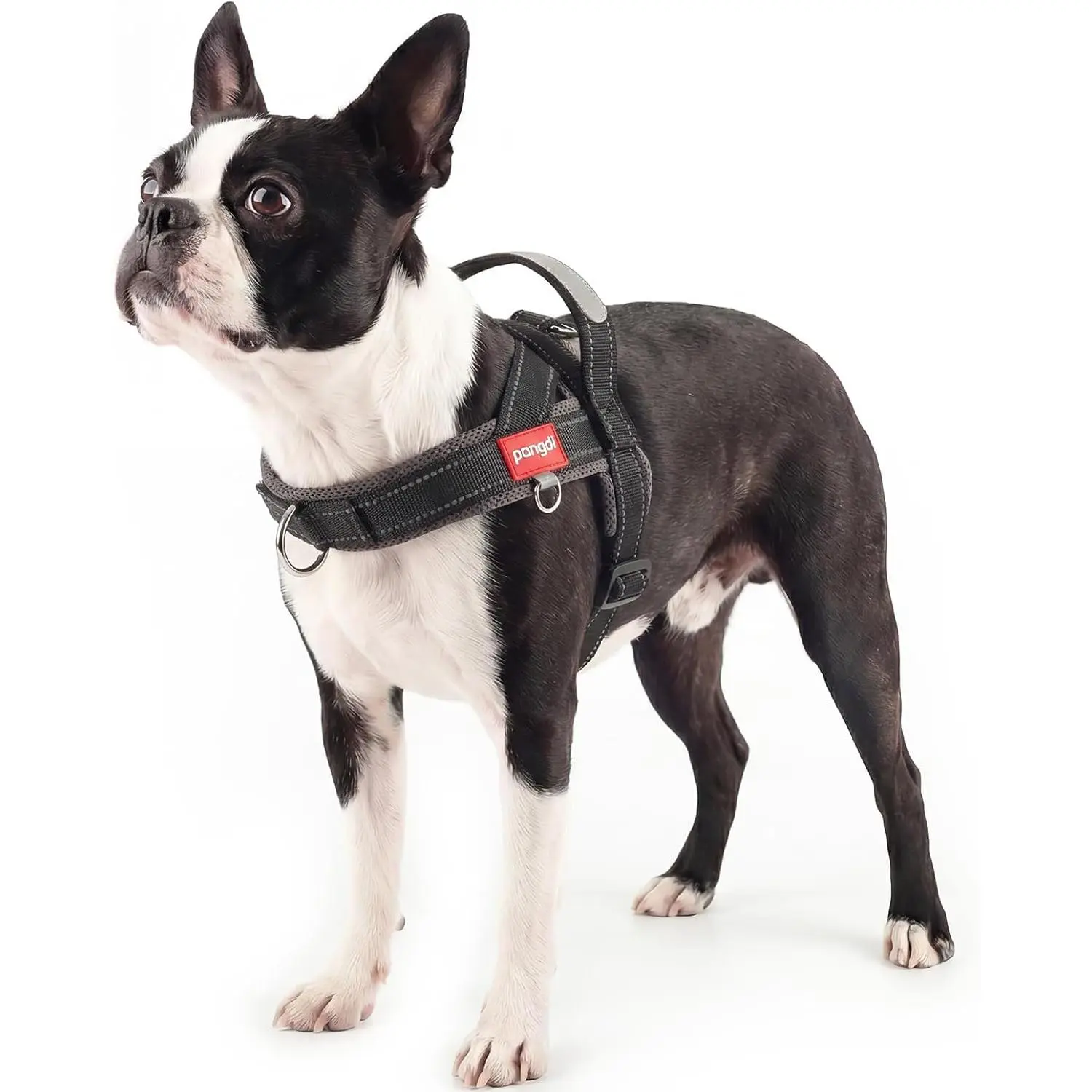 No Pull Dog Harness with Handle, Yorkie Adjustable Reflective Dog Vest, Breathable Air Mesh Padded Pet Harness with Front Leash Clip for Small Medium Dogs, Black, S