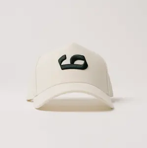 Perspective Hat