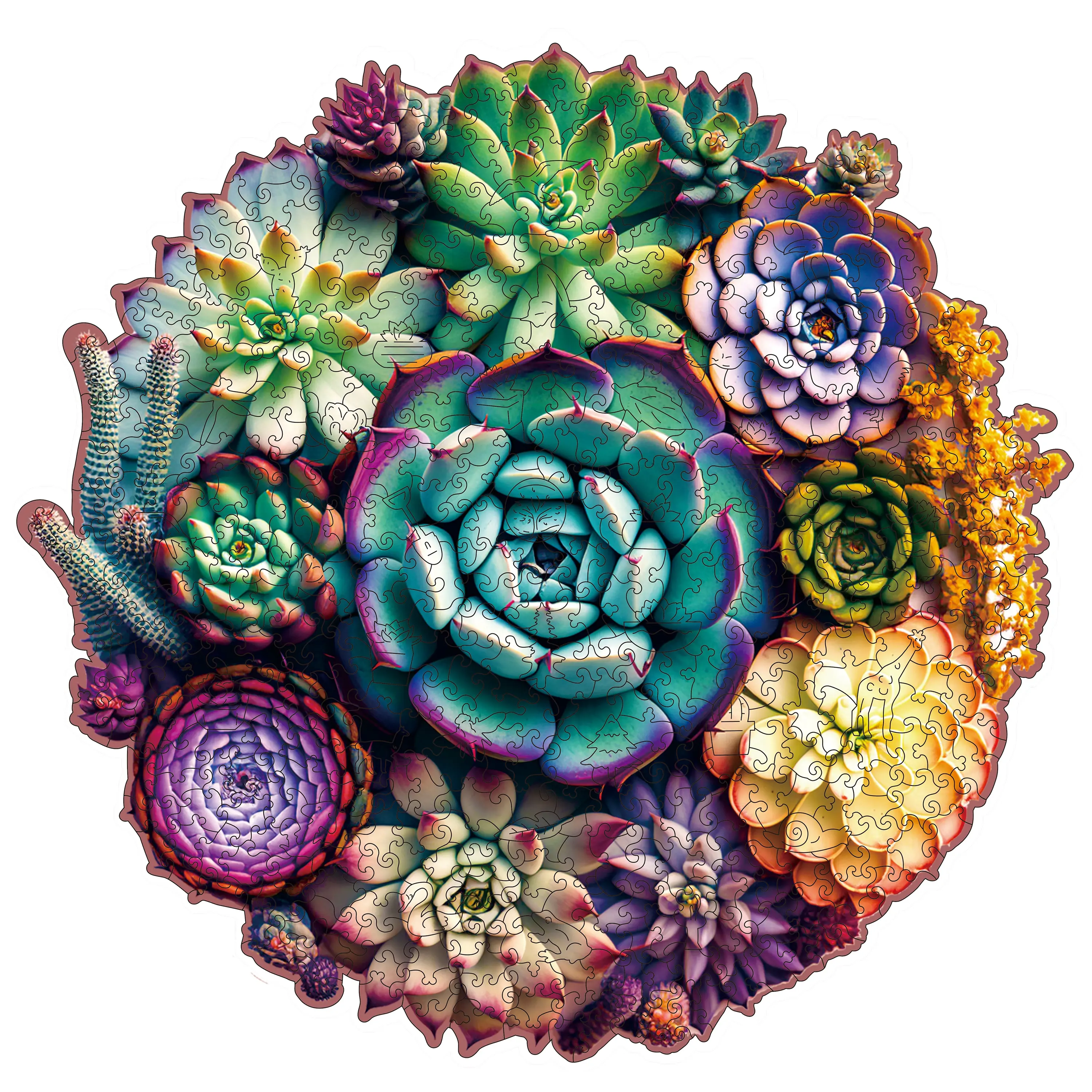Mys Aurora Wooden Jigsaw Puzzle Succulent World 80 200 300 500 Pcs Unique Shape Wood Box Packing Creative Gift for Adults and Kids Fun Challenging Family Game for Parents Grandparents Brainstorm Crafts Cactus