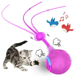 Interactive Cat Toys Ball for Indoor Cats, Automatic Pet Toys for Bored Indoor Adult Cats, Motion Activated, USB Rechargeable, Christmas Birthday Gifts (Purple)