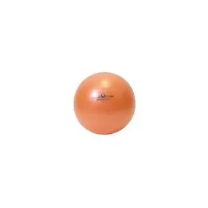 Ecowise 85500 Fitness Ball- Sunflower